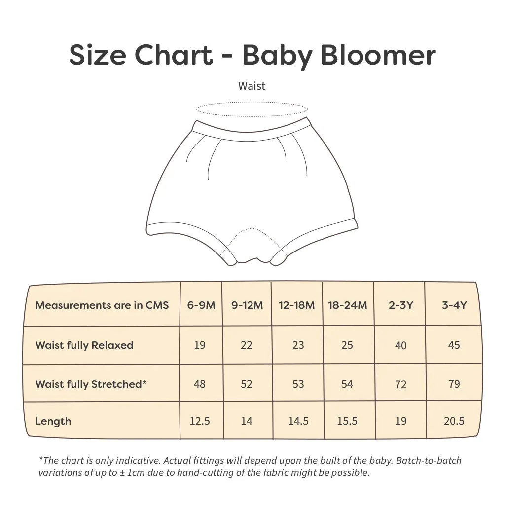 BASIC Super Soft Bloomers (Farm Fam) & Briefs (Doodle Dreams) - Pack of 10