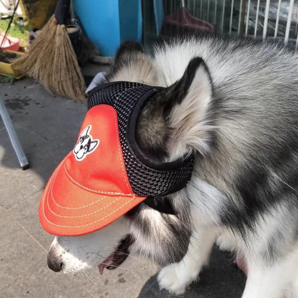 Fashion Dog Baseball Cap