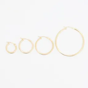 Gold Hinged Hoop Earrings