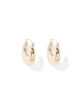 Tina Thick Hoop Earrings